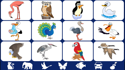 ภาพหน้าจอของ Video Touch - Wild Birds