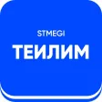 Теилим STMEGI