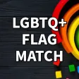 LGBTQ+ Memory Flag Match LGBTQ+ Memory Flag Match
