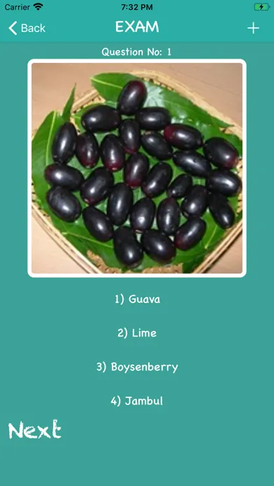 صور Pro Fruits And Veggies