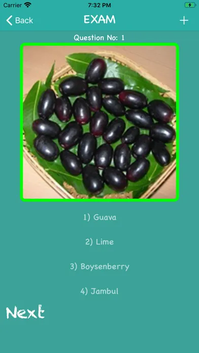 صور Pro Fruits And Veggies
