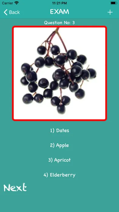 صور Pro Fruits And Veggies