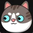 Save my Cat Adventures Save my Cat Adventures
