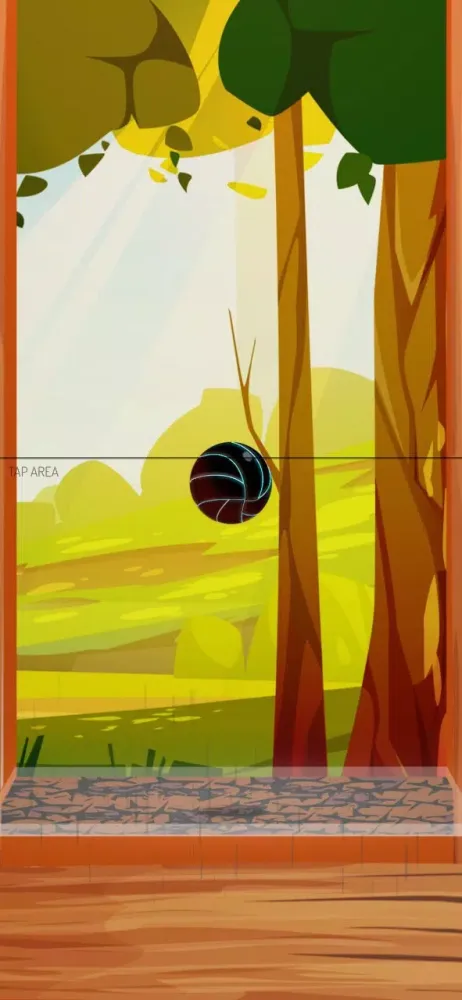 Dirs Dirs Ball Screenshots