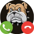 TDTC Fake Call Scary Dog Game