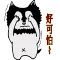 Afraid Dog