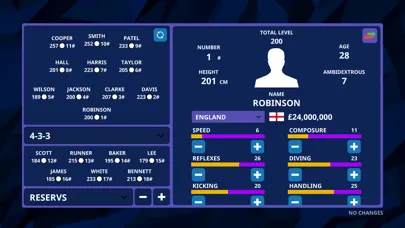 International Football Sim Screenshots