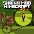 Player Shrink Mod in Minecraft