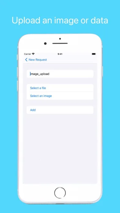 Captures d'écran de SimpleHTTP: Make HTTP requests