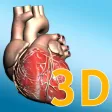 Explore the Heart in 3d Explore the Heart in 3d