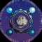 Near Earth Defense™