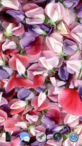 Petals 3D live wallpaper Screenshots