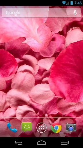 Petals 3D live wallpaper Screenshots