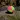 Peace Do Ball 3D: Balancer