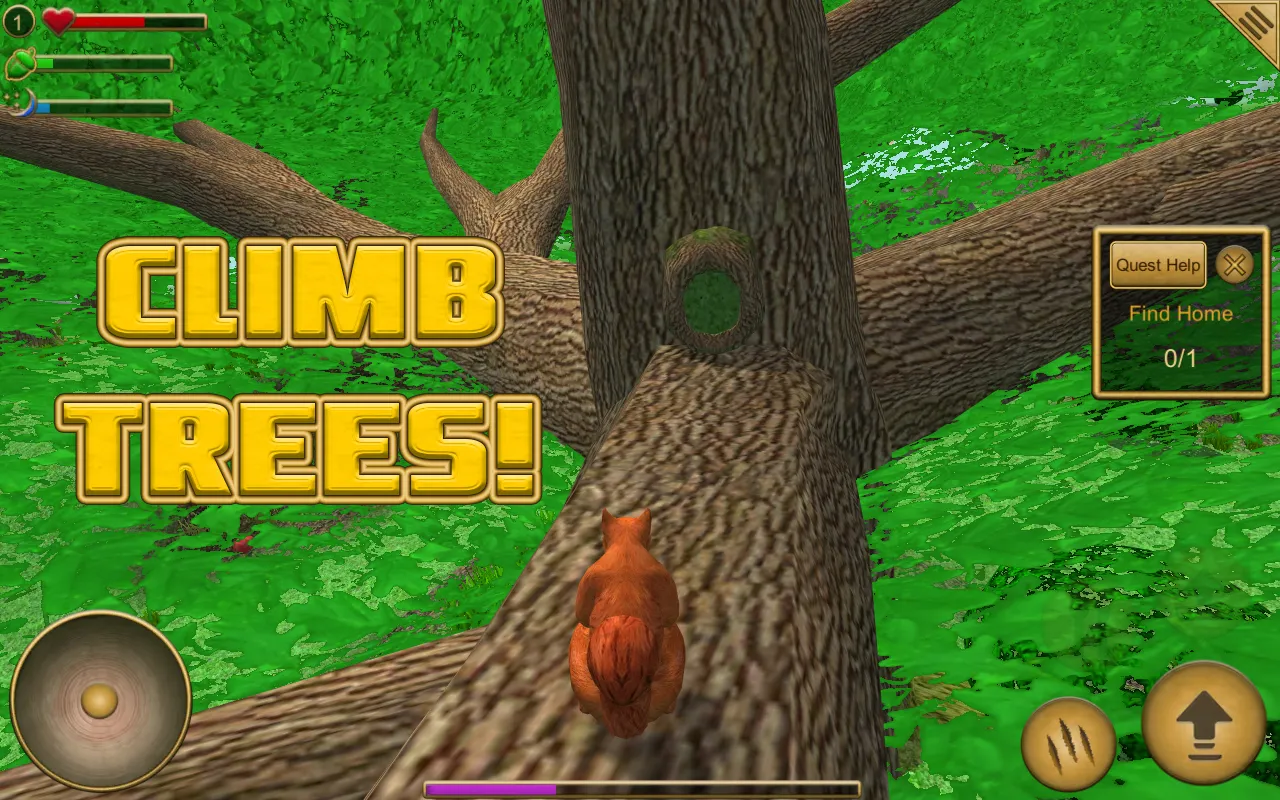 Ảnh chụp màn hình của Squirrel Simulator