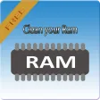Professional Cleaner Ram