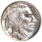 Buffalo Nickel