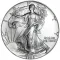 American Silver Eagle