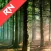Relax Nature: Forest
