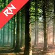 Relax Nature: Forest Relax Nature: Forest