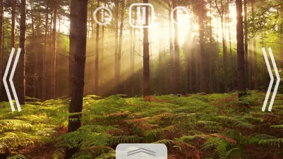 ภาพหน้าจอของ Relax Nature: Forest