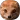 Mongoose Sounds