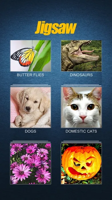 Exercise the brain in a jigsaw puzzle Screenshots
