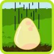 Crazy Egg