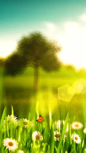 Spring Live Wallpaper स्क्रीनशॉट