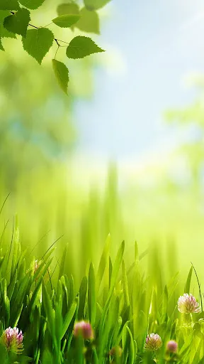 Spring Live Wallpaper स्क्रीनशॉट