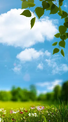 Spring Live Wallpaper स्क्रीनशॉट