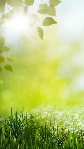 Spring Live Wallpaper स्क्रीनशॉट