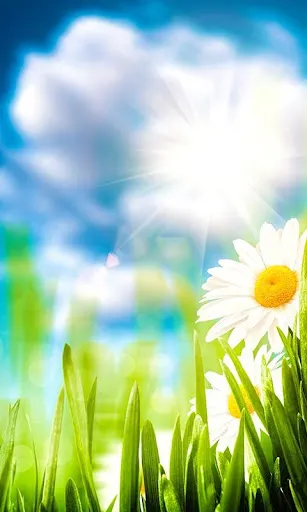 Spring Live Wallpaper स्क्रीनशॉट