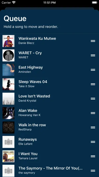 Ảnh chụp màn hình của MusiDown