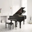 Steinway Room View Steinway Room View