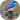 Swallow Sounds