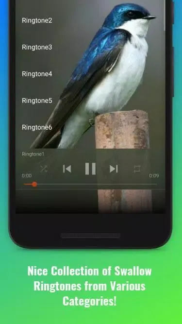 Captures d'écran de Swallow Sounds