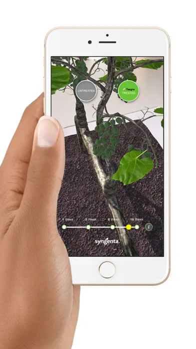 تصاویر Syngenta TAEGRO AR