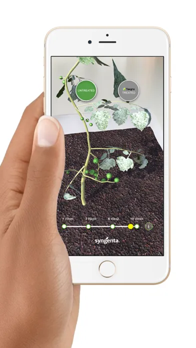 تصاویر Syngenta TAEGRO AR