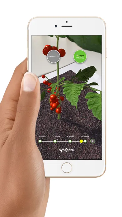 تصاویر Syngenta TAEGRO AR
