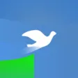 Dove Jump - an endless runner