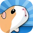 Guinea Pig Bridge! Guinea Pig Bridge!
