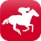 Thoroughbred Daily News