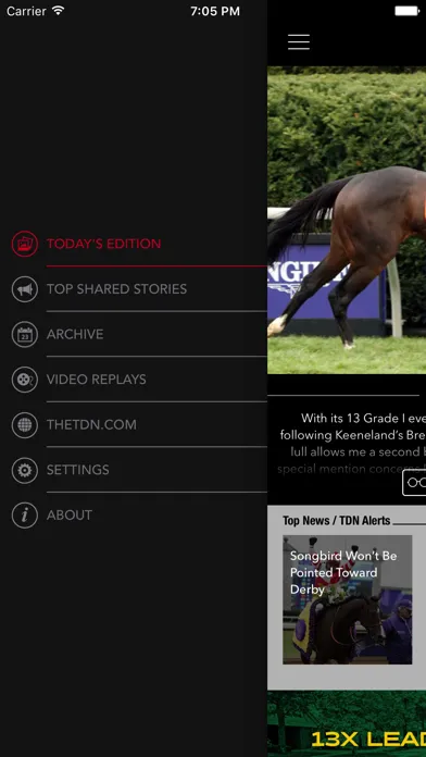 Zrzuty ekranu Thoroughbred Daily News