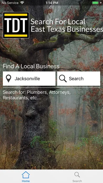 Capturas de pantalla de TDT Local Search