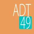 Attention Distribution Test 49