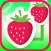 My Favorites Fruit match Card Game For Kids