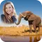 Animal Photo Frames