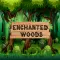 Enchanted Woods