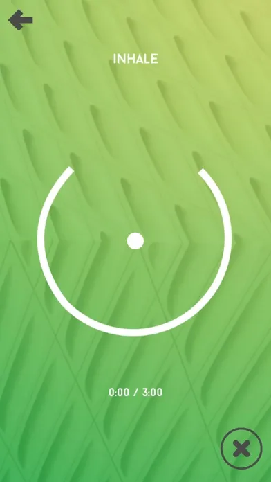 Скриншоты The Accomplished Brain App